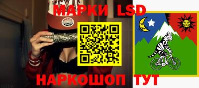 шишки Кимры