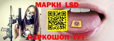 дмт Кингисепп