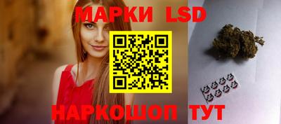 дмт Кингисепп