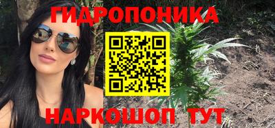 шишки Кимры