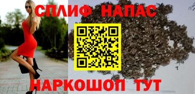 дмт Кингисепп