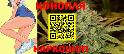 шишки Кимры