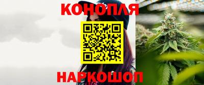 шишки Кимры