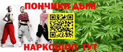 шишки Кимры