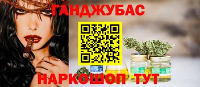 дмт Кингисепп