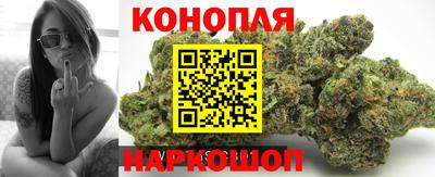 шишки Кимры