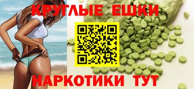 дмт Кингисепп