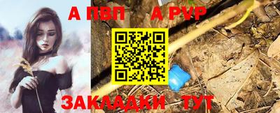 дмт Кингисепп