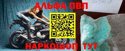 дмт Кингисепп