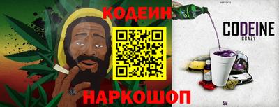 дмт Кингисепп