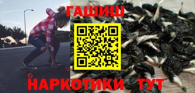 дмт Кингисепп