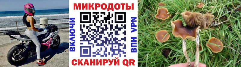 как найти наркотики  Сыктывкар  Галлюциногенные грибы мицелий 